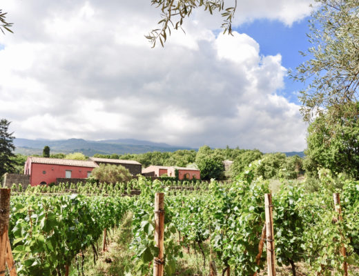 Sicily's Ancient Winemaking Traditions Meet Modern Luxury